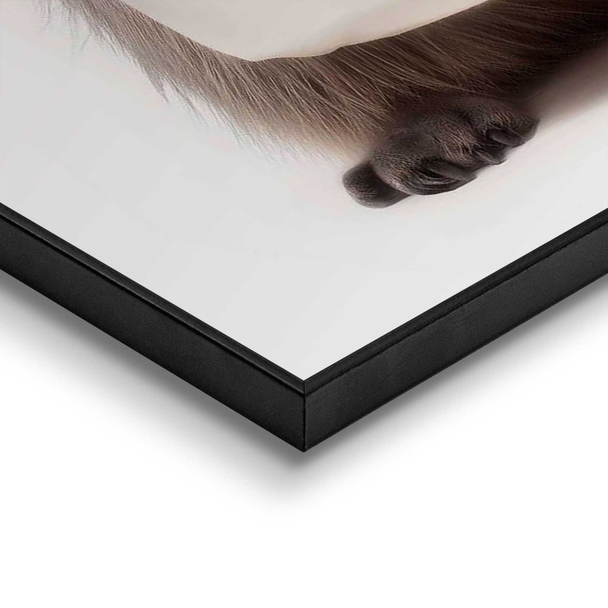 Framed Poster Roll Holder 70x50