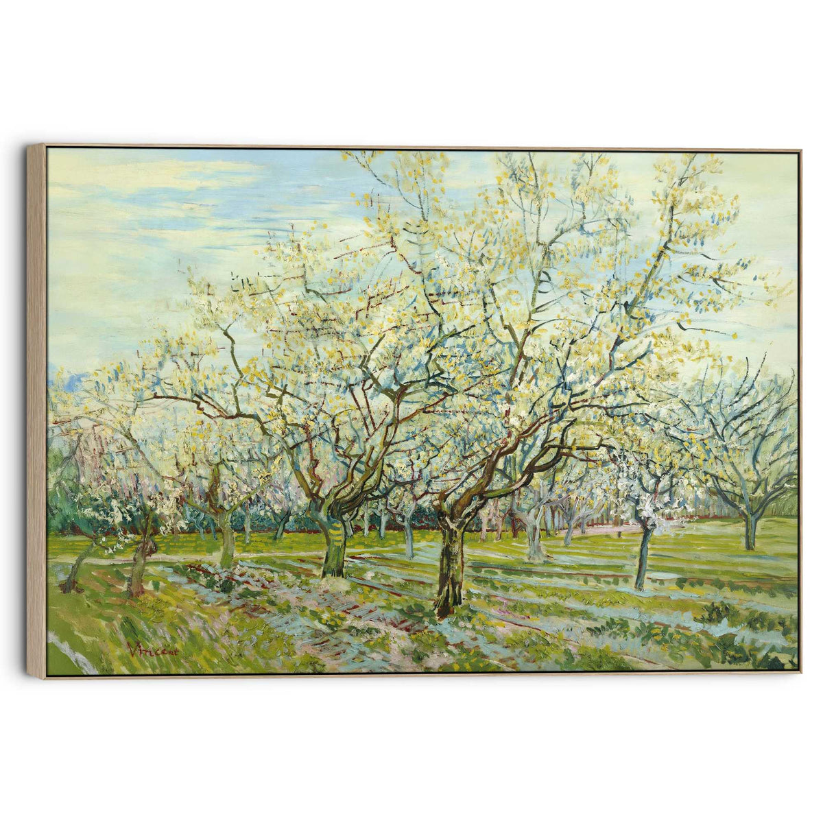 Canvas Van Gogh - The White Orchard 70x100