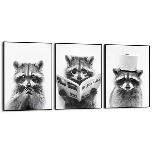 Framed Poster Racoon Funny Set 40x30