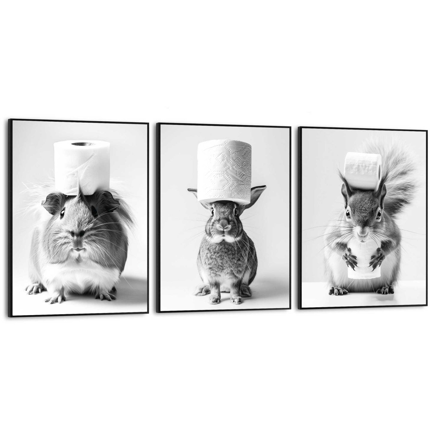 Framed Poster Toilet Paper Set 40x30