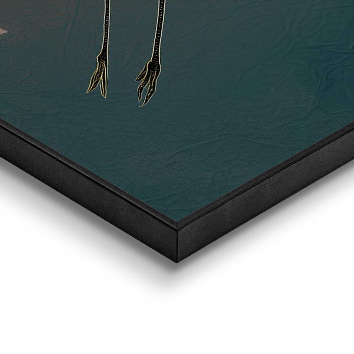 Framed Poster Cranes Flying 70x50