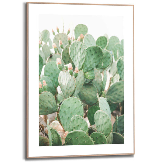 Framed in Wood Floral Cacti
