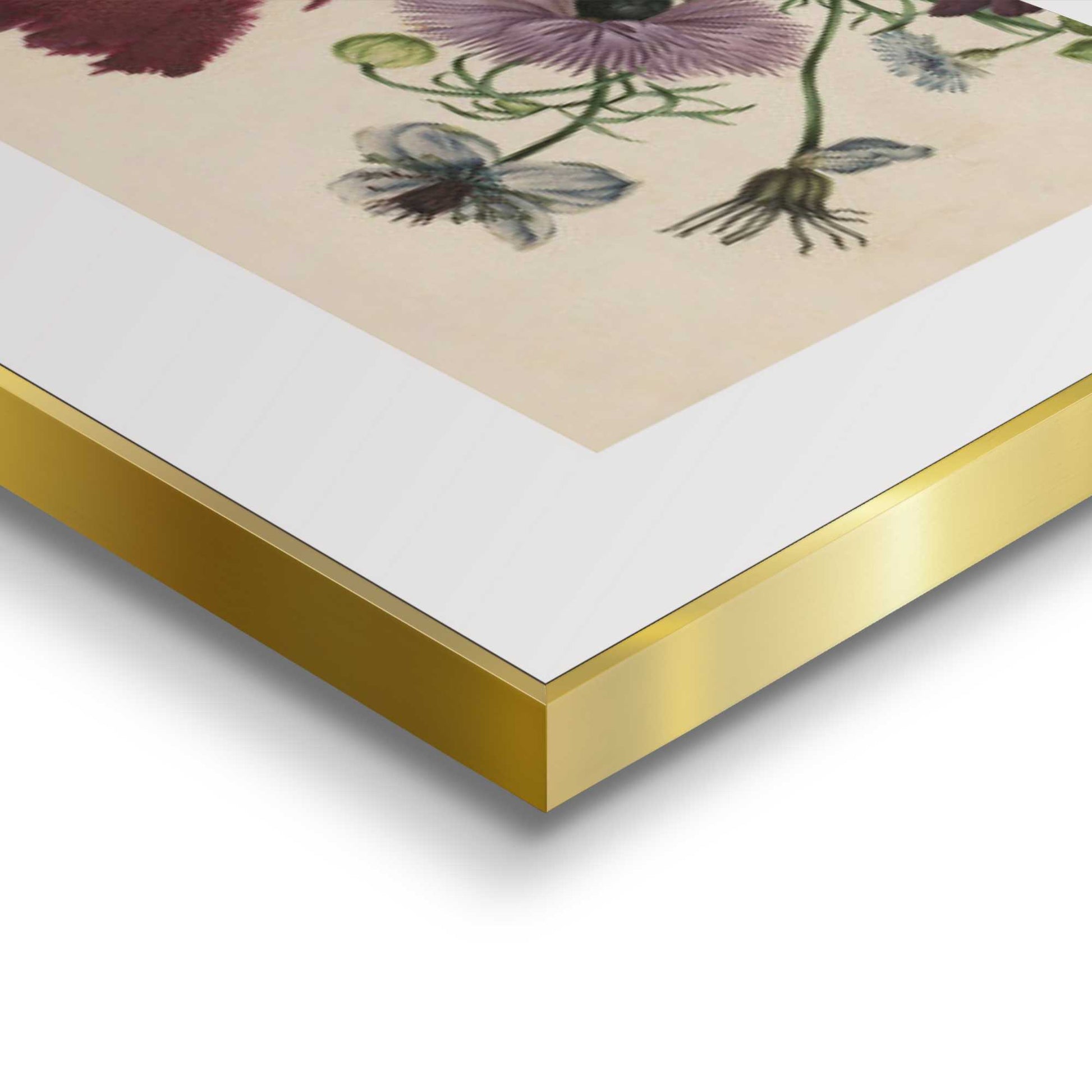 Framed in Gold Favourite Flowers