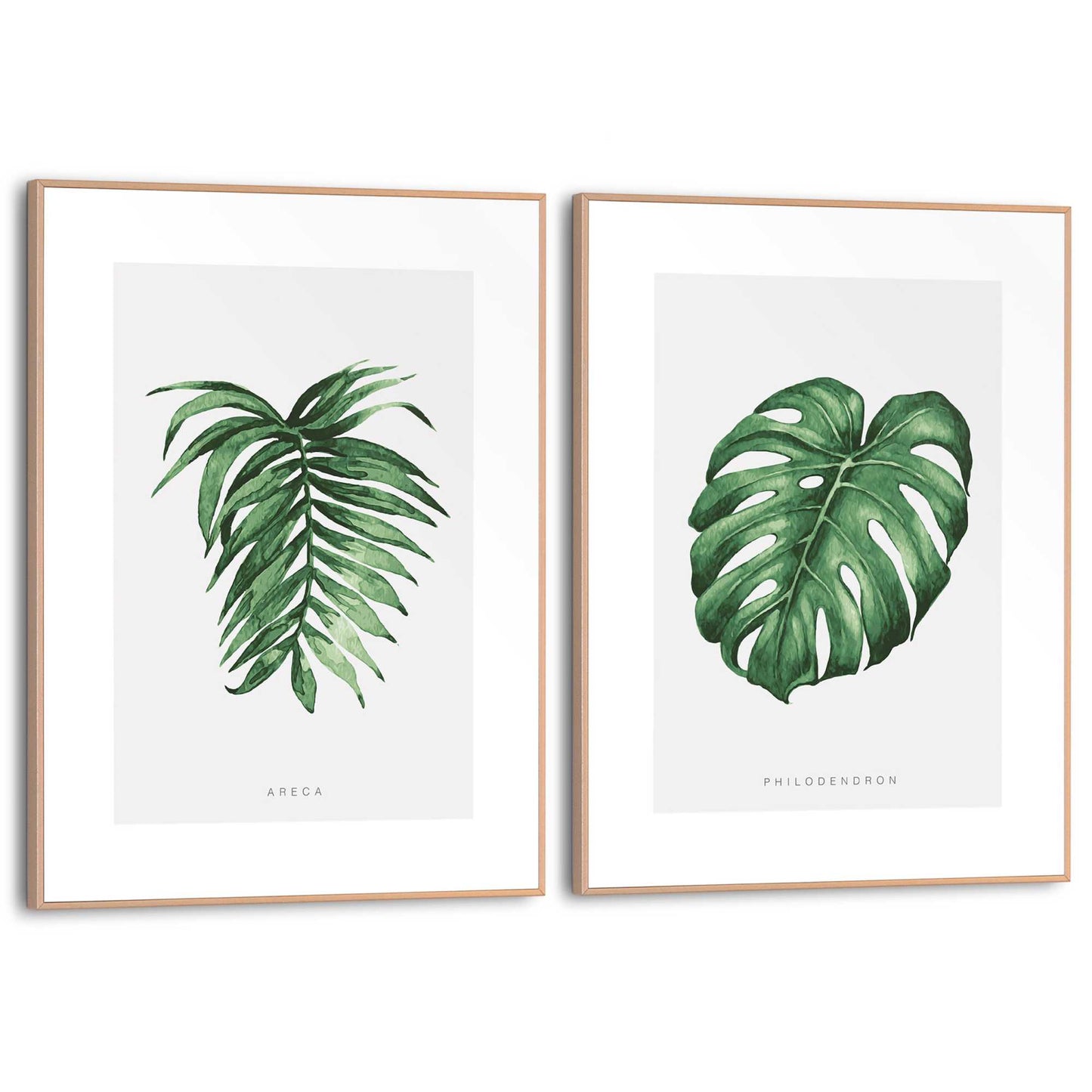 Framed in Wood Tropical Aqua Leafs
