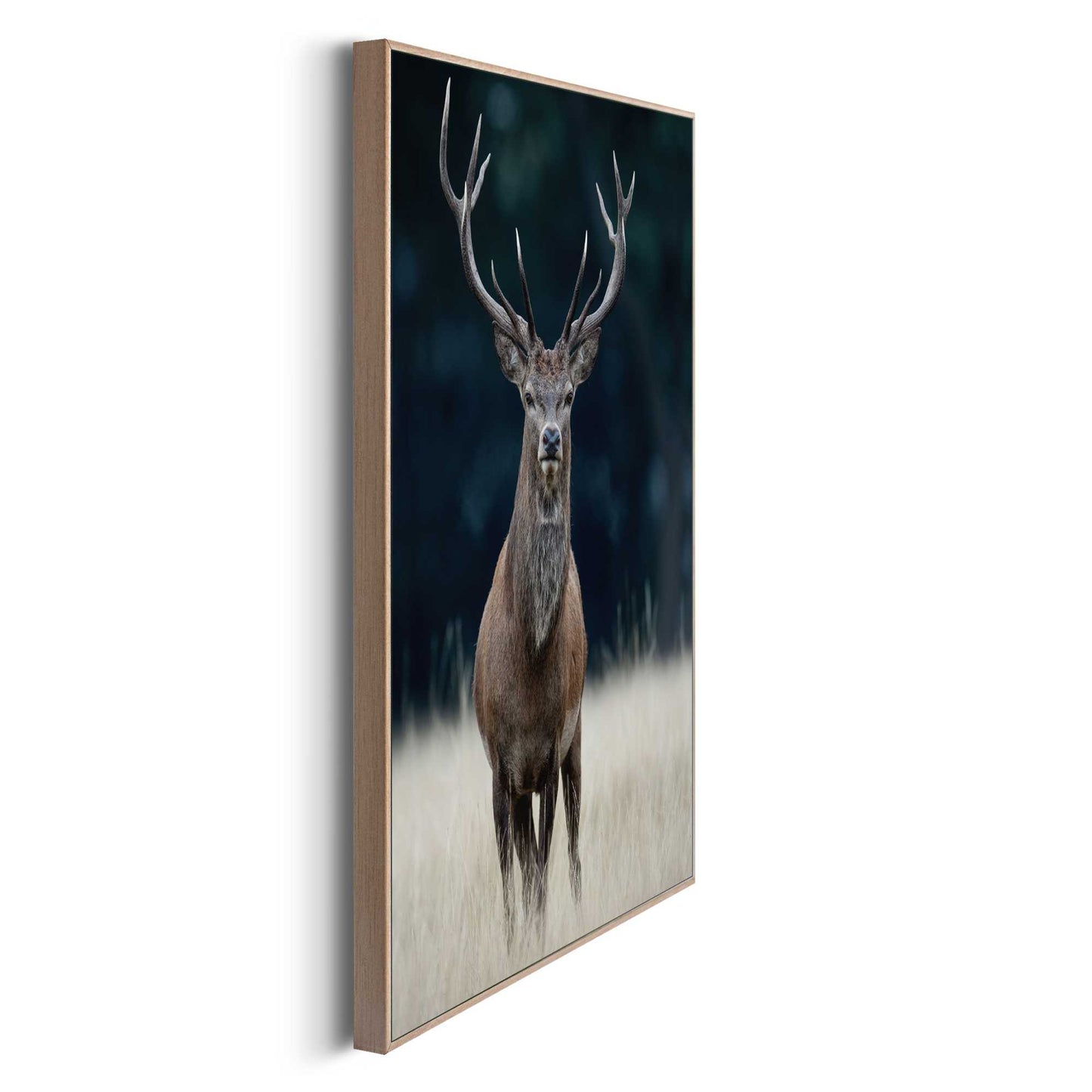 Framed in Wood Spring Nature
