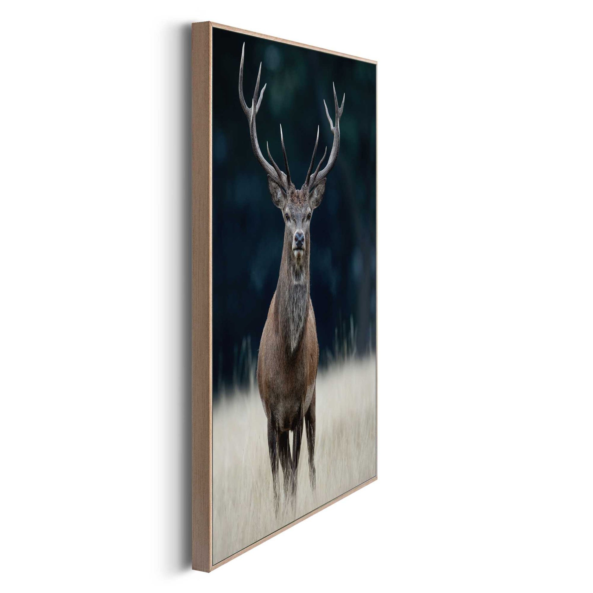 Framed in Wood Spring Nature