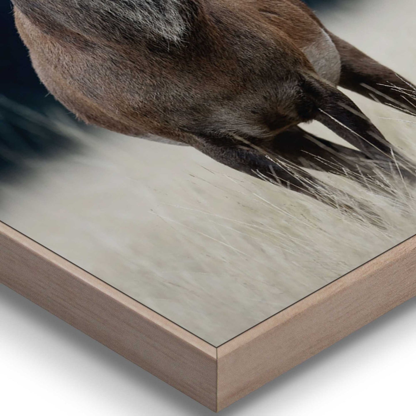 Framed in Wood Spring Nature