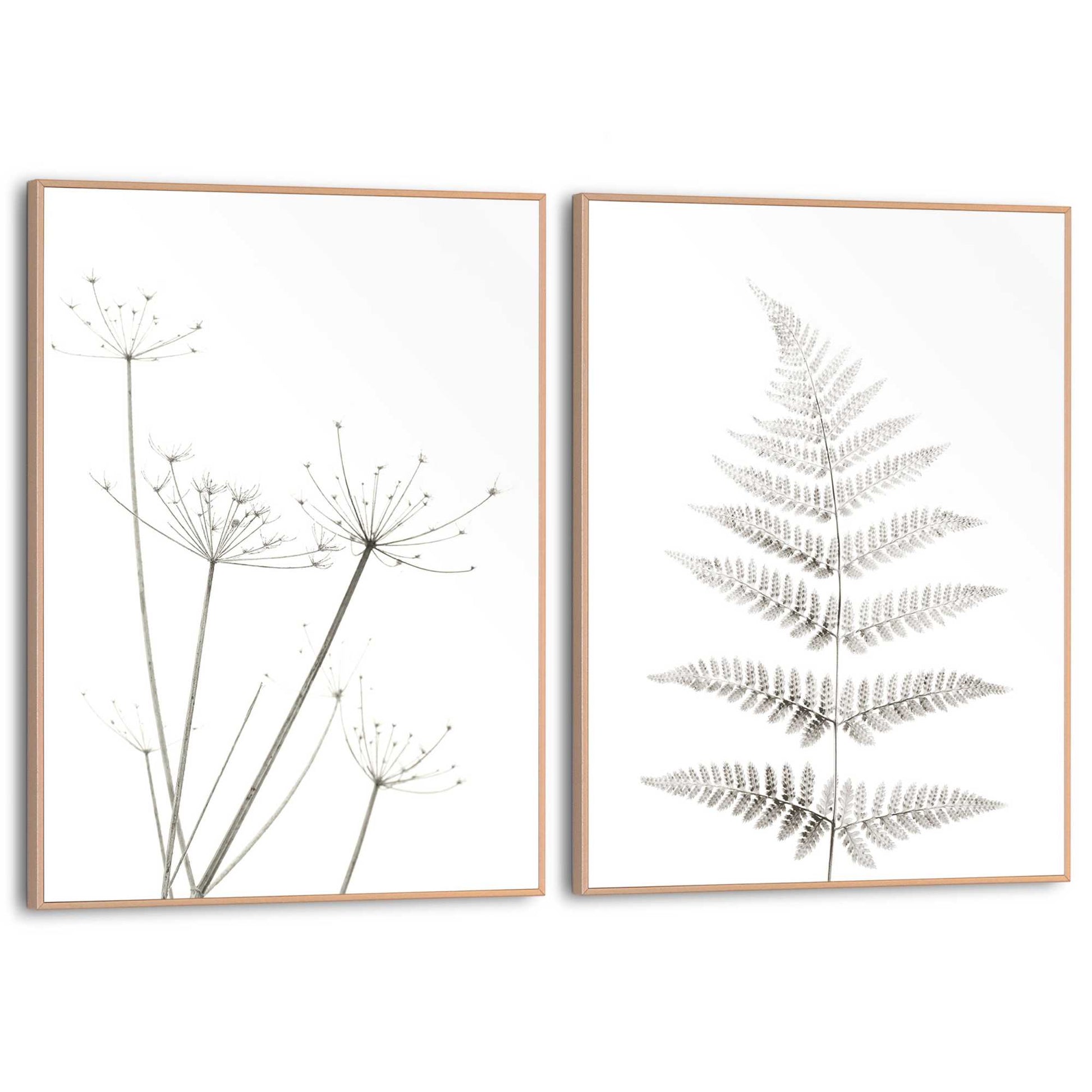 Framed in Wood White Plants