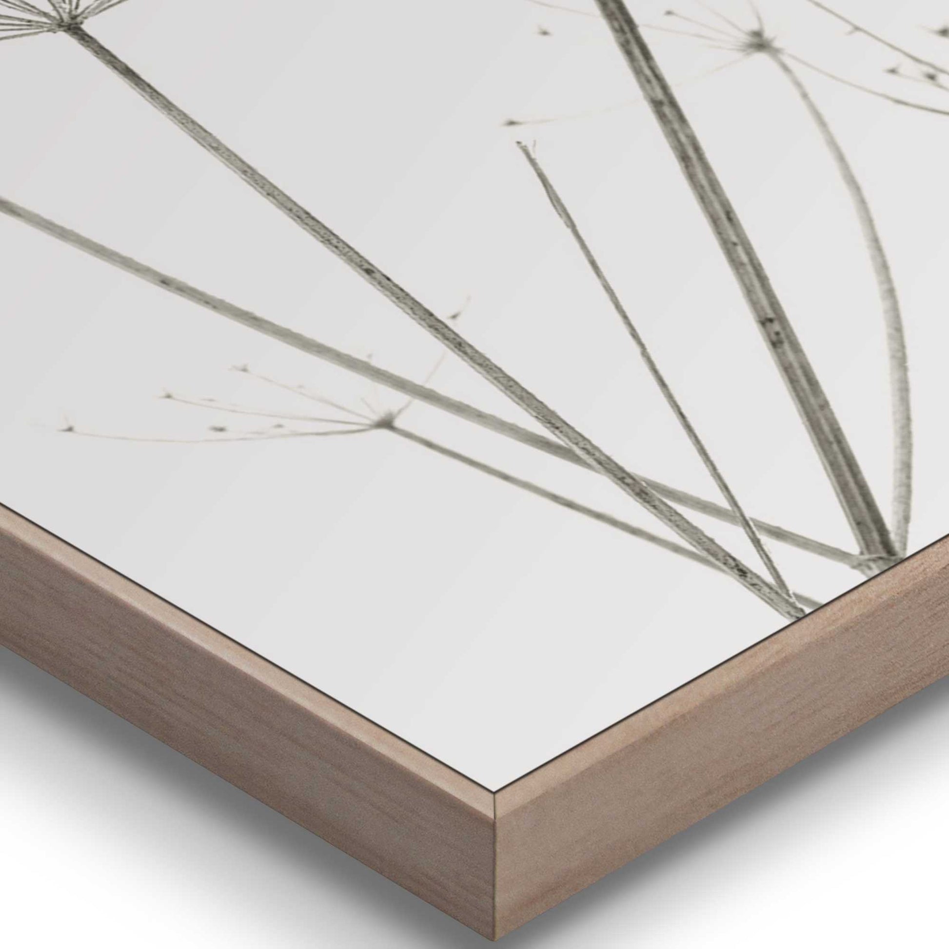 Framed in Wood White Plants