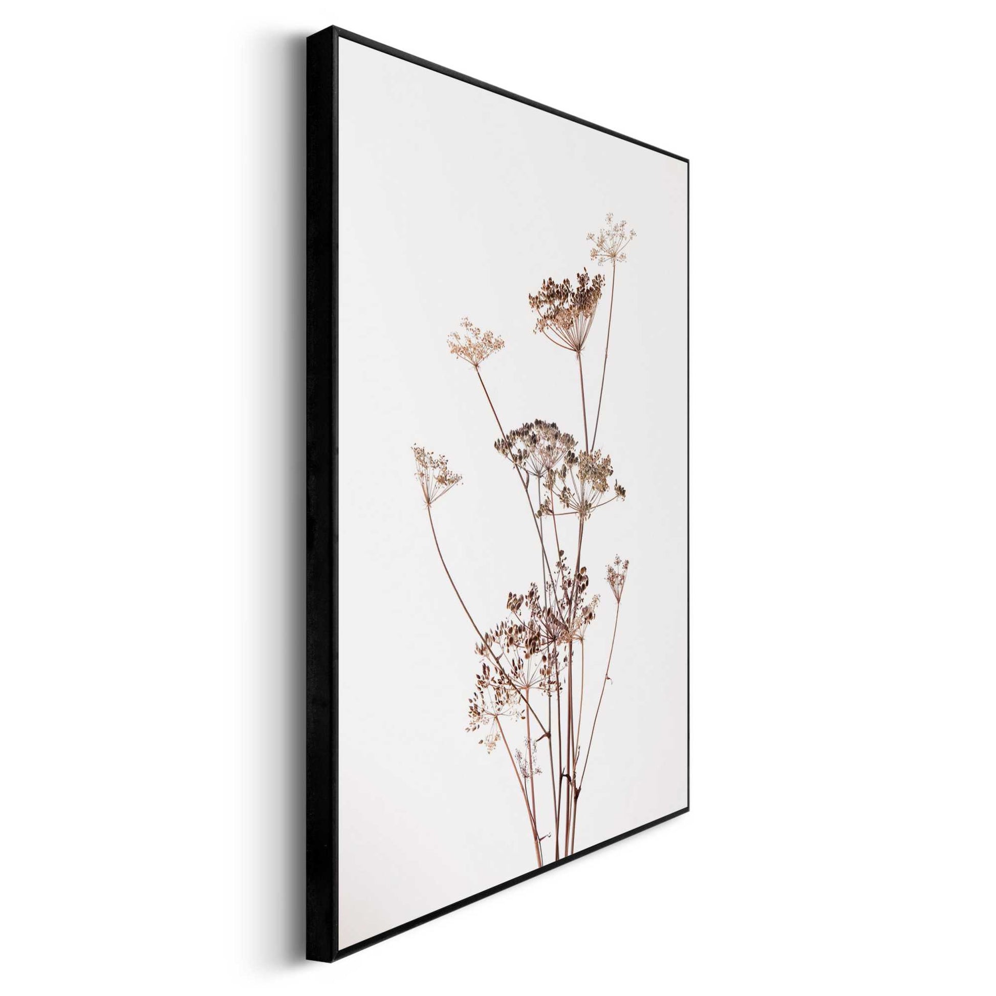 Framed in Black Nature Grasses