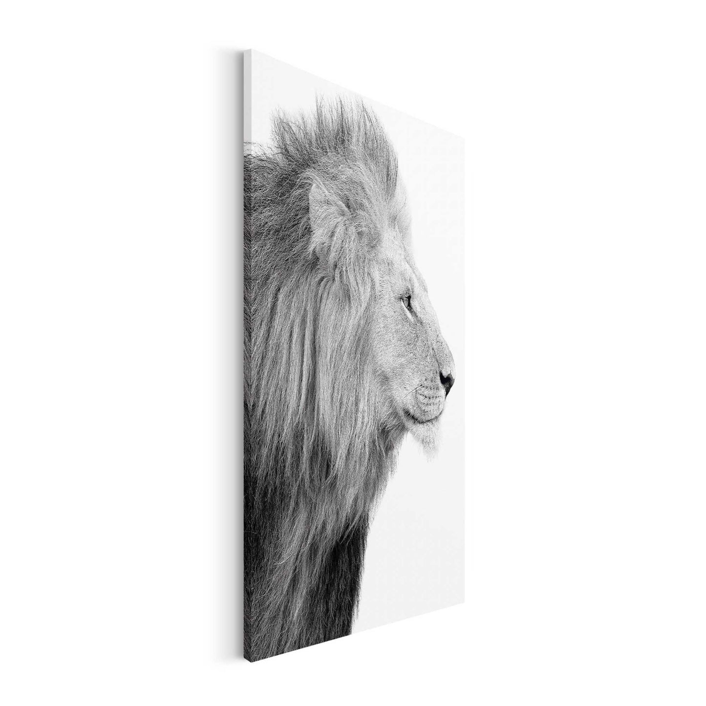 Canvas Lion Head