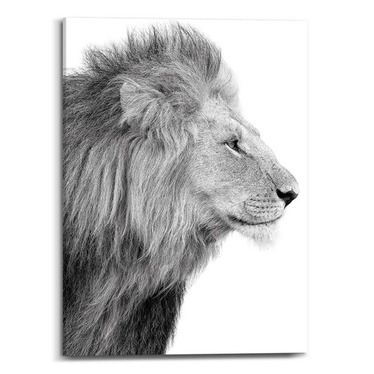 Canvas Lion Head