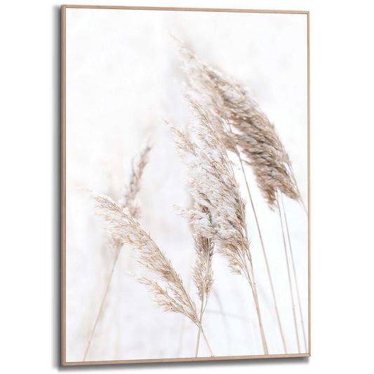 Framed in Wood Nature Grass