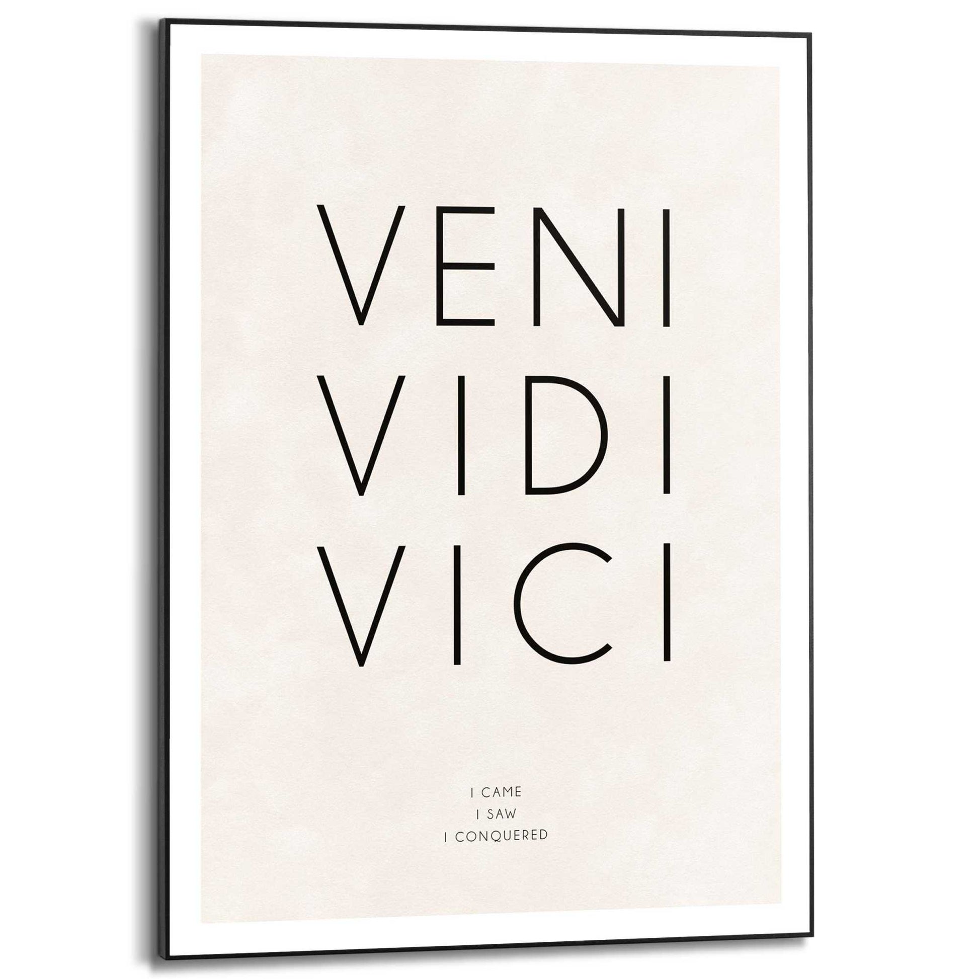 Veni Vidi Vici Art Board Print for Sale by ojasha