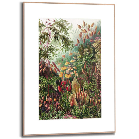 Framed in Wood Under The Sea