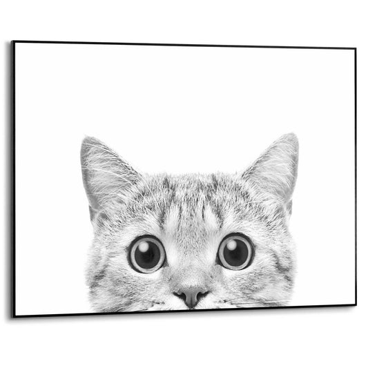 Framed in Black Cats Eyes