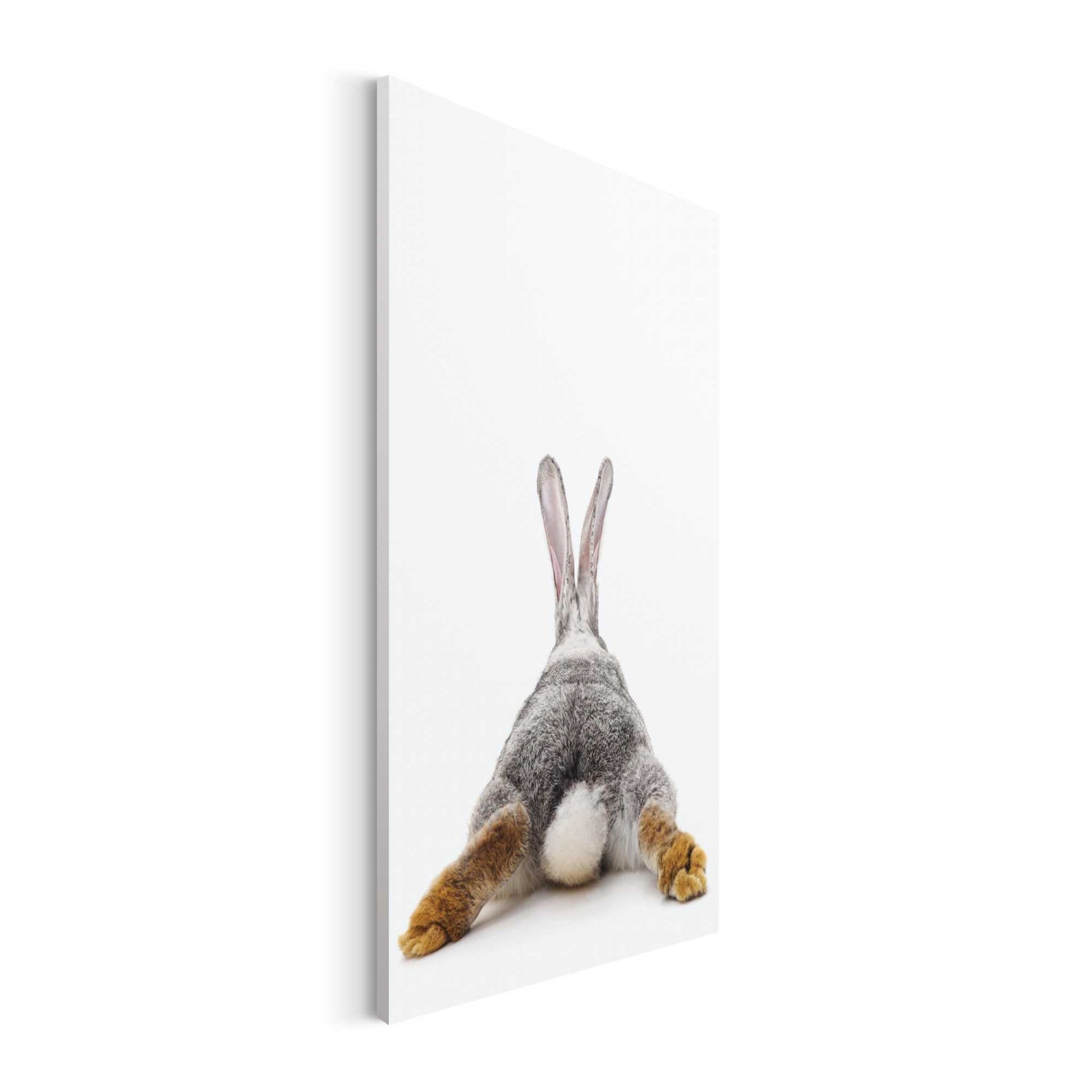 RABBIT 2 CANVAS BOARD 6'*8'+ 6 Poster Colors +NEON Tempera Paint