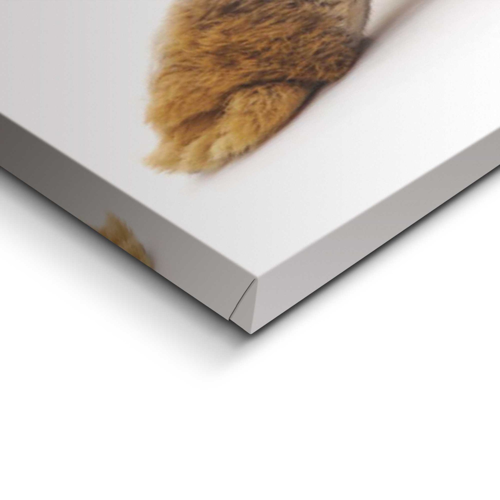 Canvas Rabbit