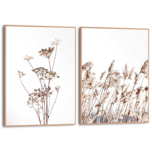 Framed in Wood Nature Grasses