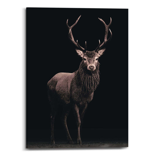 Canvas Dark Deer