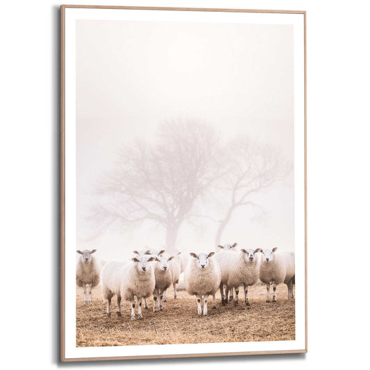 Framed in Wood Linda's Sheep