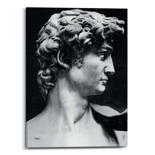 Canvas Torso