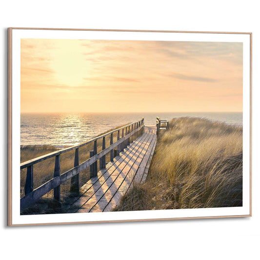 Framed in Wood Sunset Woodpath