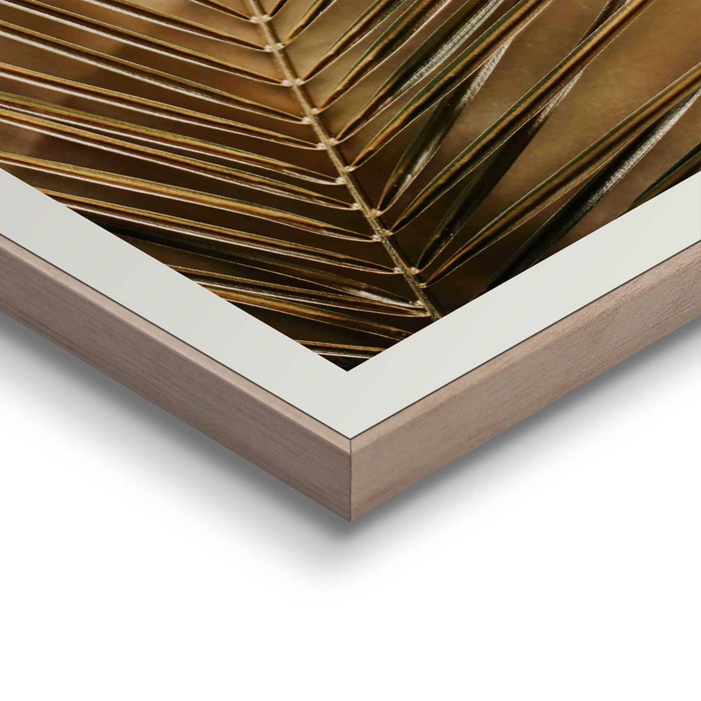 Framed in Wood Golden Palm Leaf 50x40